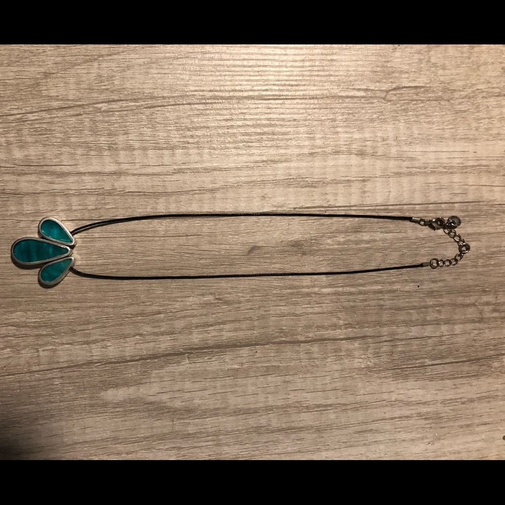 Necklace, one necklace 2 sides of color.